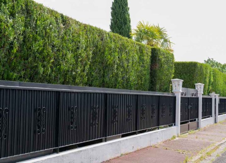 green hedge Metal Fence of residential house